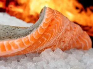 Walnut Crusted Salmon Recipe 5 | eat move healthy Salmon