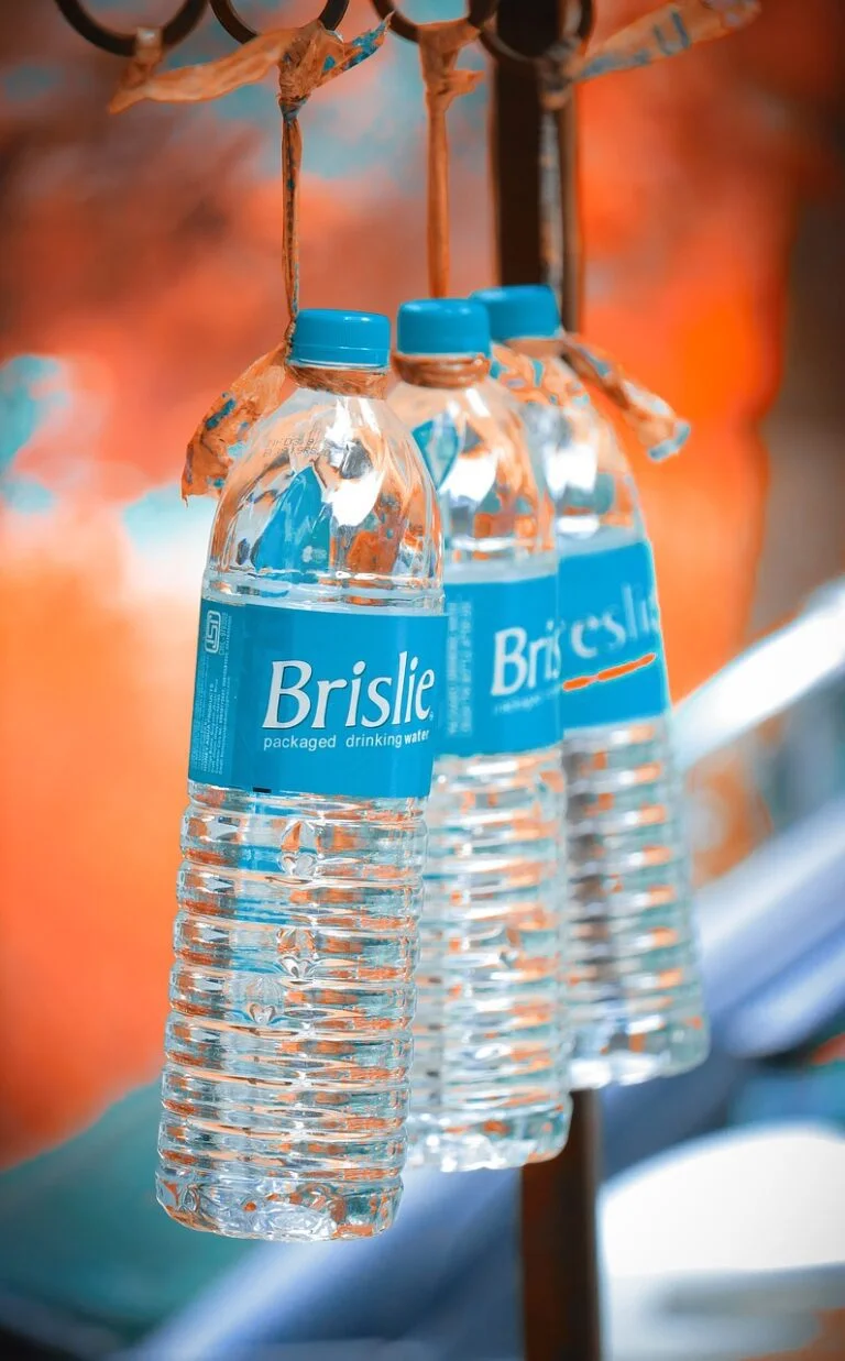 How to Lose Weight With These 10 Tips 2 | eat move healthy bottles, water bottle, drink-5723338.jpg