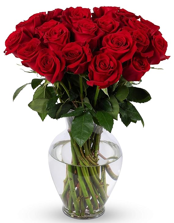 Benchmark-Bouquets- 24-stem-Red