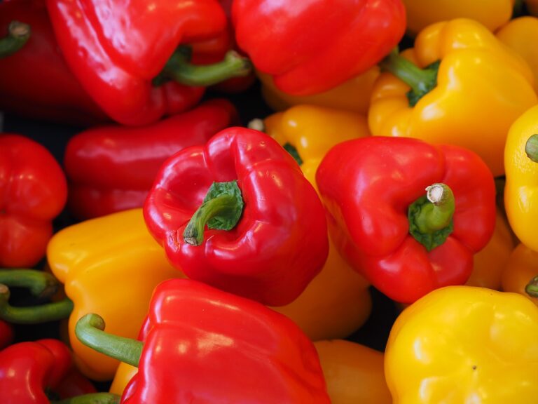 bell-peppers-sweet-peppers-capsicums