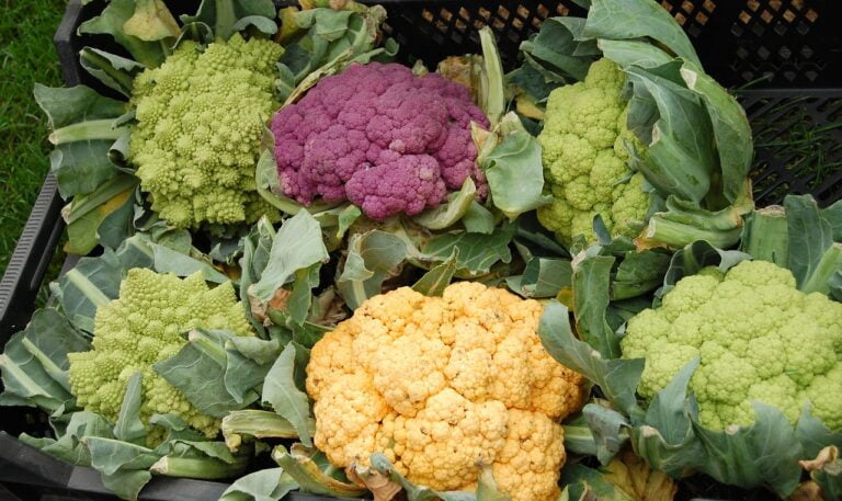 cauliflower-fried-rice- vegetables, multicoloured-59097.jpg