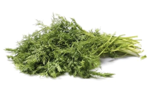 Herb Dill Organic, 0.75 Ounce