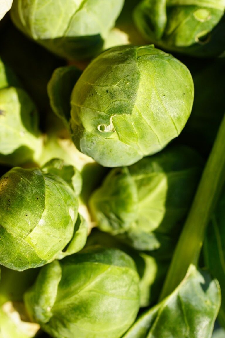 The Best Plant-Based Proteins 8 | eat move healthy cabbage-brussels- brussels-sprouts 8517143.jpg
