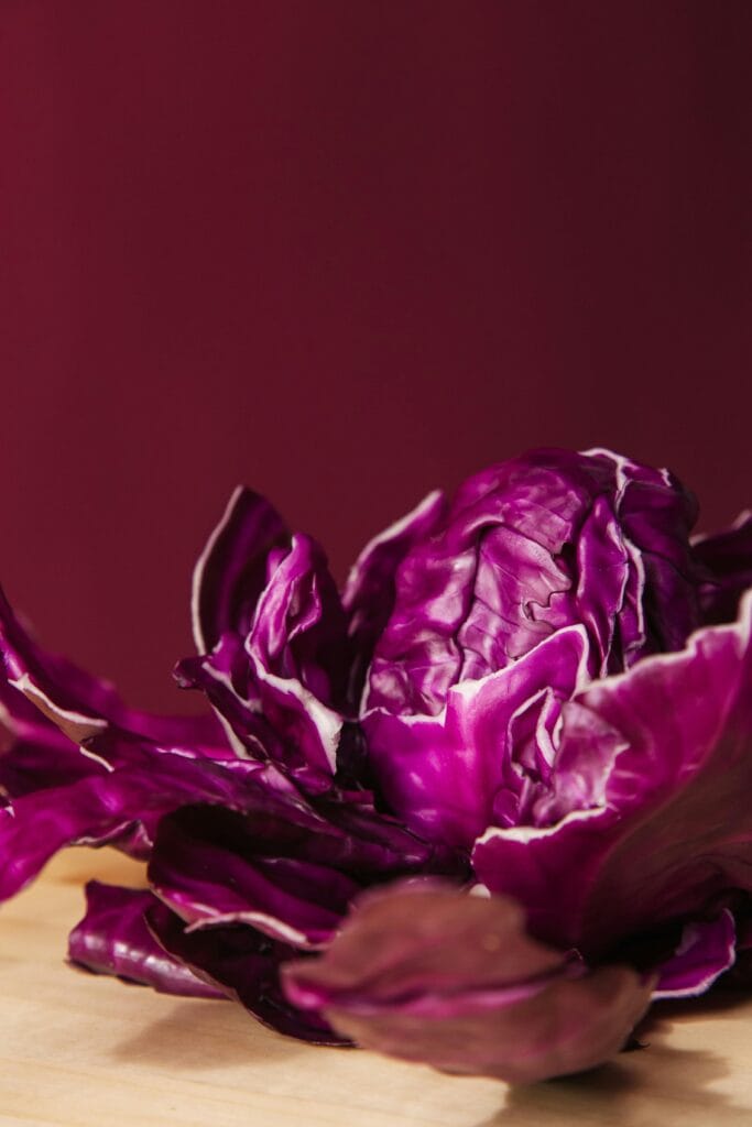 Red Cabbage and Apple Slaw: Boosts Your Health 2 | eat move healthy Vibrant red cabbage with rich textures, perfect for healthy food concepts and culinary presentations.
