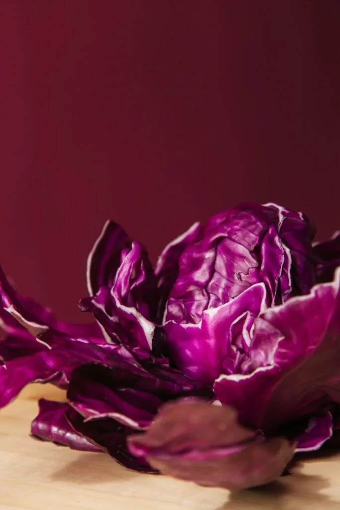 Vibrant red cabbage with rich textures, perfect for healthy food concepts and culinary presentations.