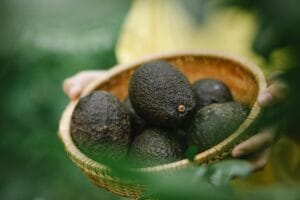 The Benefits of Yoga 46 | eat move healthy 10-avocado-recipes