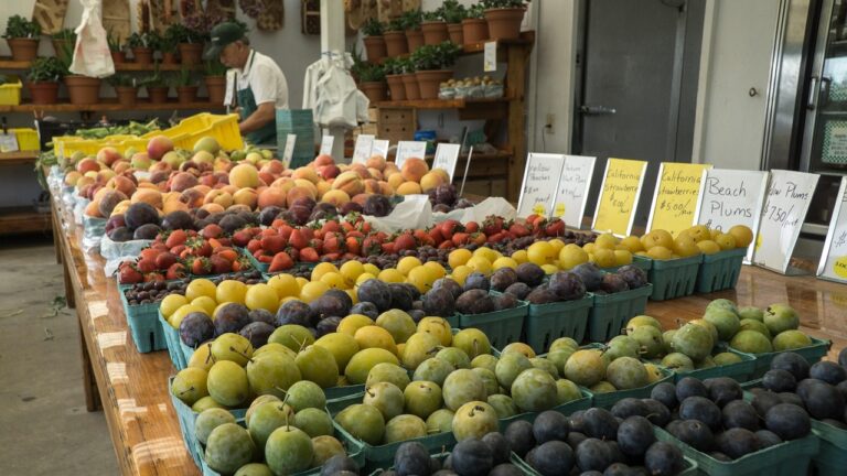 Making Healthy Eating Affordable 2 | eat move healthy Healthy-Eating- Affordable-vegetables