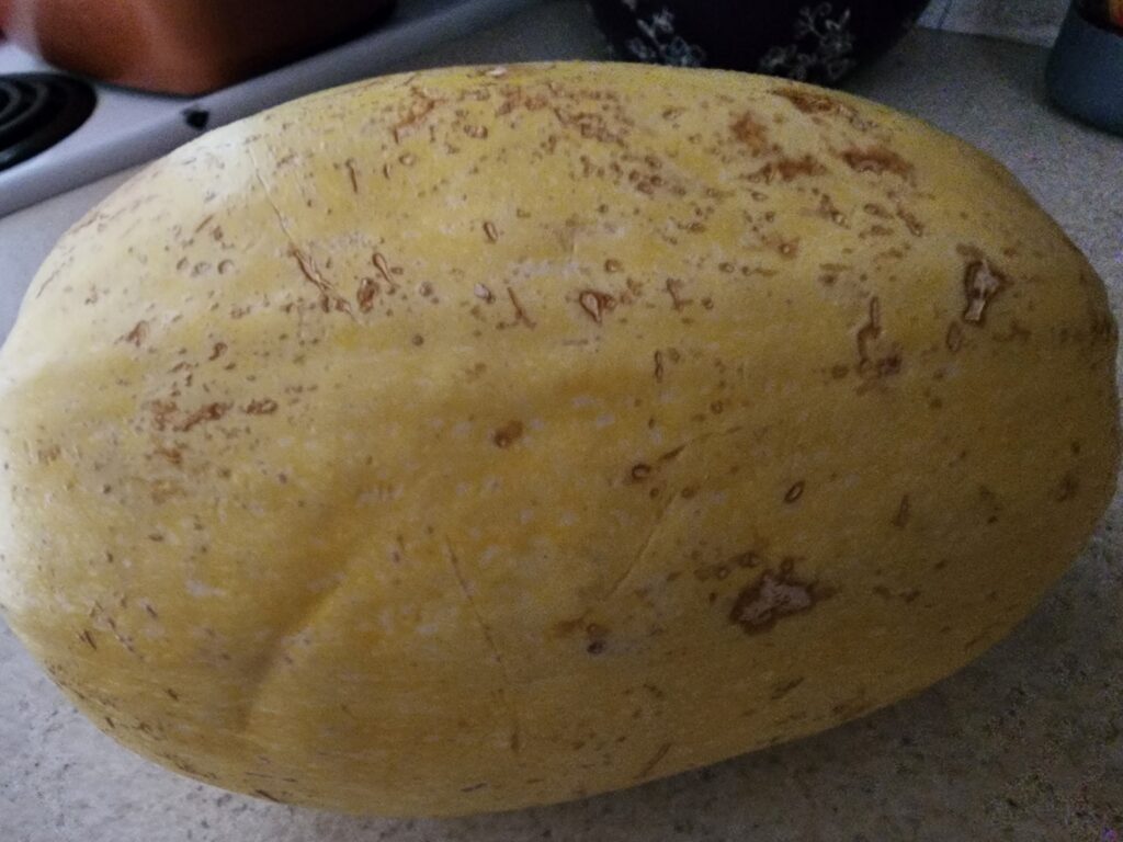 Spaghetti Squash