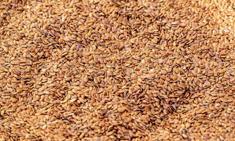 flax-seeds-healthy- grains