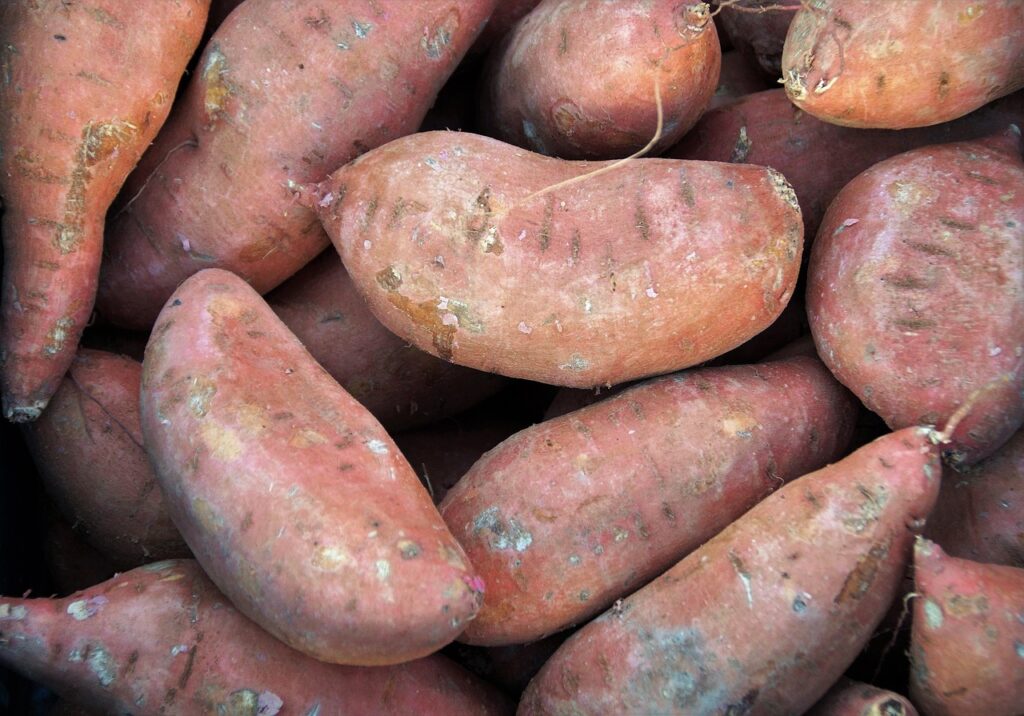 Crispy Sweet Potato Fries 1 | eat move healthy sweet-potatoes