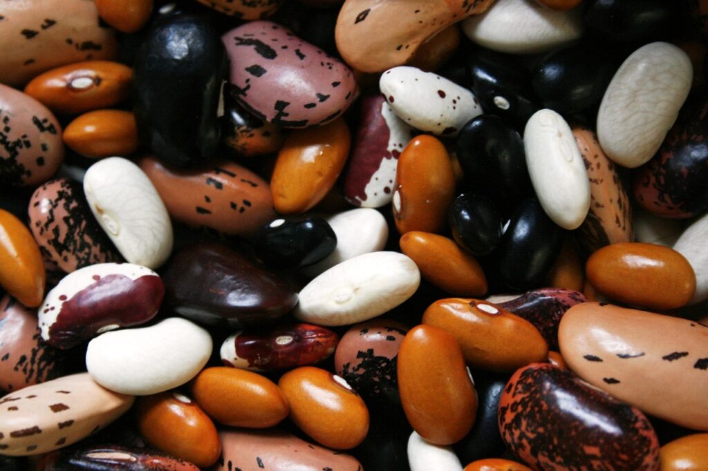 5 Steps Efficient Healthy Meal Planning 8 | eat move healthy beans, legumes, food, protein, vegetable, legume, brown bean, uncooked, dried beans, beans, beans, beans, beans, beans, legumes, legumes, protein
