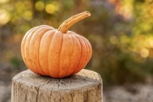 Sugar-Free Pumpkin Bread 3 | eat move healthy pumpkin