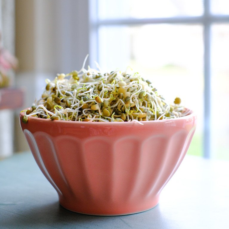 sprouted-lentils